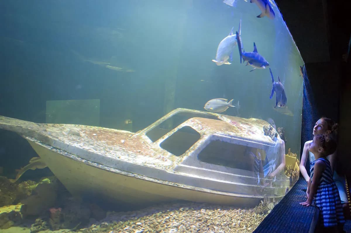 Oceanarium Świętokrzyskie - co warto zobaczyć i jak się przygotować Oceanarium Świętokrzyskie - co warto zobaczyć i jak się przygotować