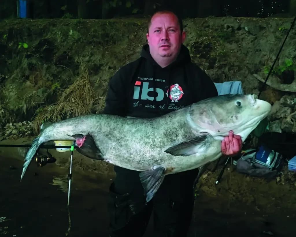 Czym się żywi tołpyga? Odkryj jej zaskakującą dietę w różnych wodach Czym się żywi tołpyga? Odkryj jej zaskakującą dietę w różnych wodach
