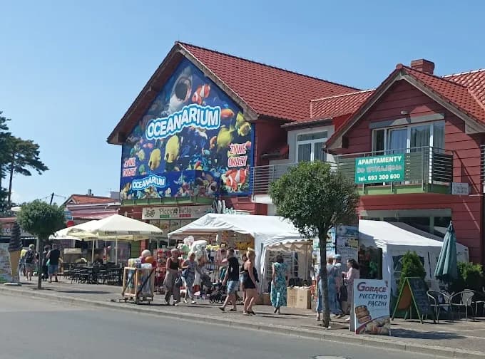 Oceanarium w Niechorzu - Ciekawe atrakcje i opinie odwiedzających Oceanarium w Niechorzu - Ciekawe atrakcje i opinie odwiedzających