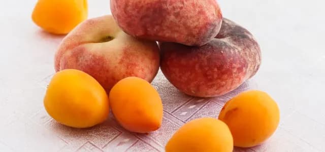 Jak się rozmnażają muszki owocówki i jak ich uniknąć w kuchni Jak się rozmnażają muszki owocówki i jak ich uniknąć w kuchni